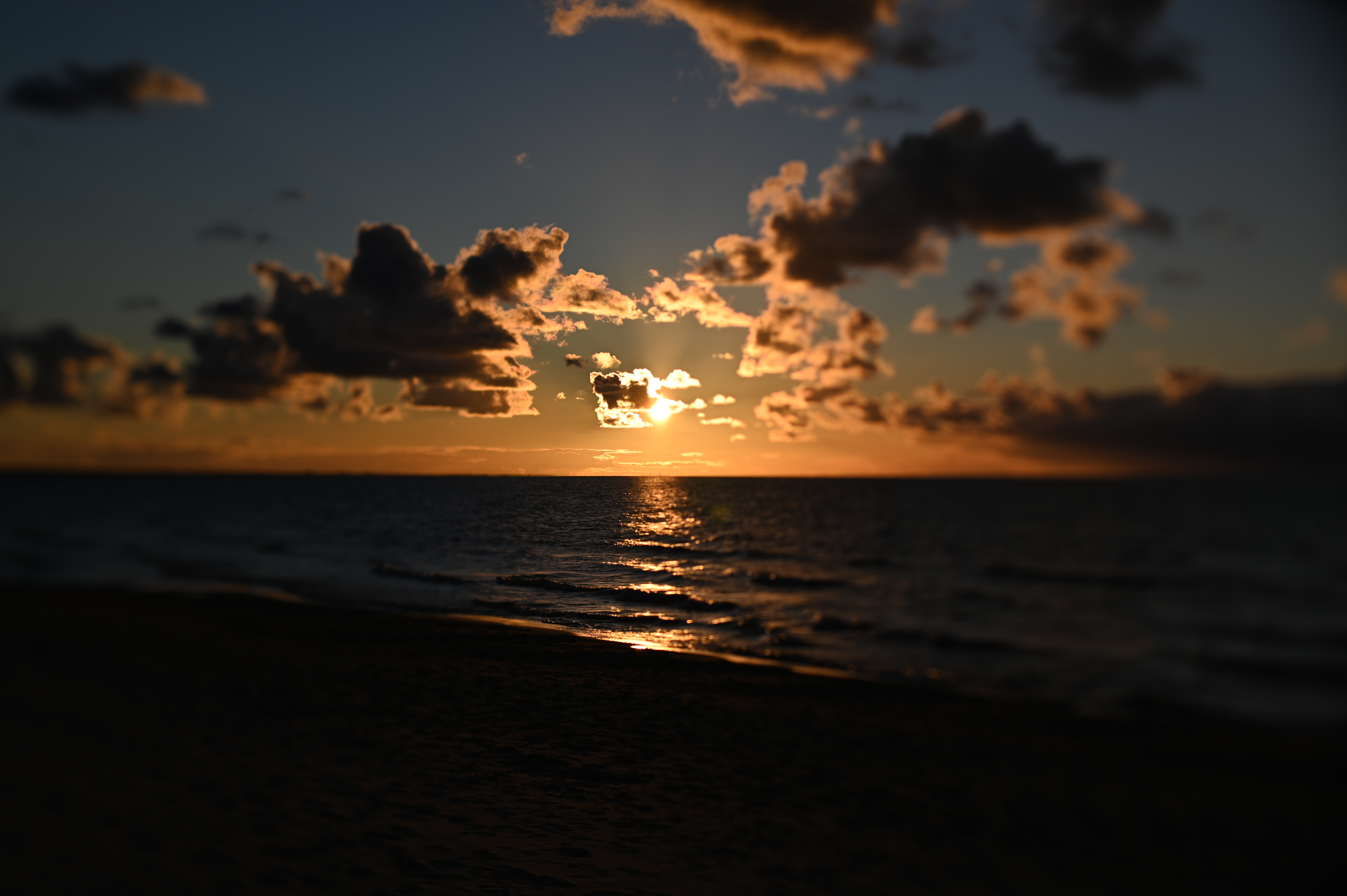 2025/10/18 - walk/DSC_0347.JPG